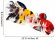 Siamese Fighting Fish Wall Decal
