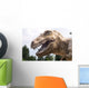 Dino Wall Decal