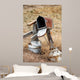 Mailbox Shawnee National Grassland Wall Decal