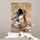 Mailbox Shawnee National Grassland Wall Decal