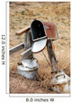 Mailbox Shawnee National Grassland Wall Decal