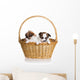 Two Puppy Wicker Basket Wall Decal