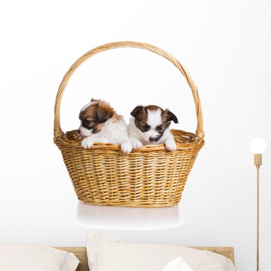 Two Puppy Wicker Basket Wall Decal