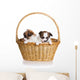 Two Puppy Wicker Basket Wall Decal
