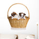 Two Puppy Wicker Basket Wall Decal
