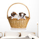 Two Puppy Wicker Basket Wall Decal