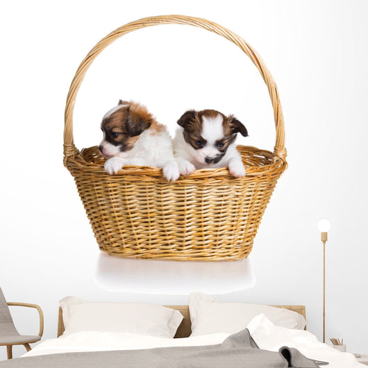 Two Puppy Wicker Basket Wall Decal