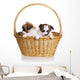 Two Puppy Wicker Basket Wall Decal