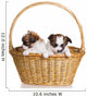 Two Puppy Wicker Basket Wall Decal