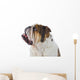 Inquisitive English Bulldog Wall Decal