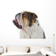 Inquisitive English Bulldog Wall Decal