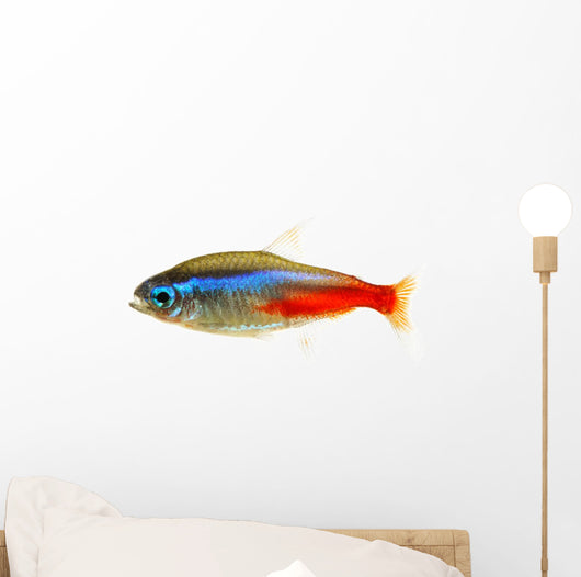 Neon Tetra Fish White Wall Decal
