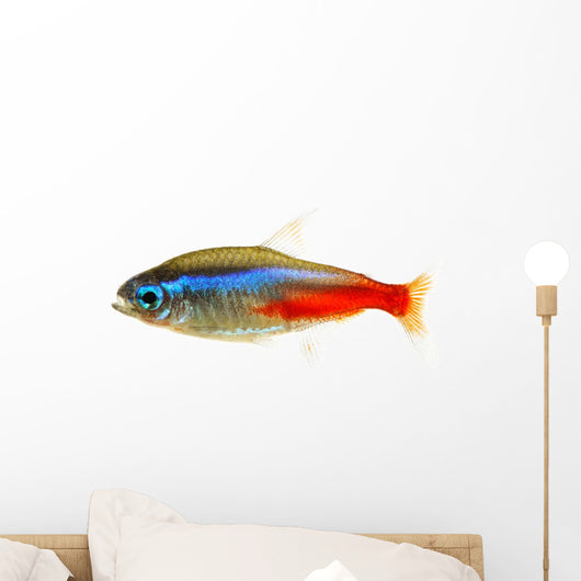 Neon Tetra Fish White Wall Decal