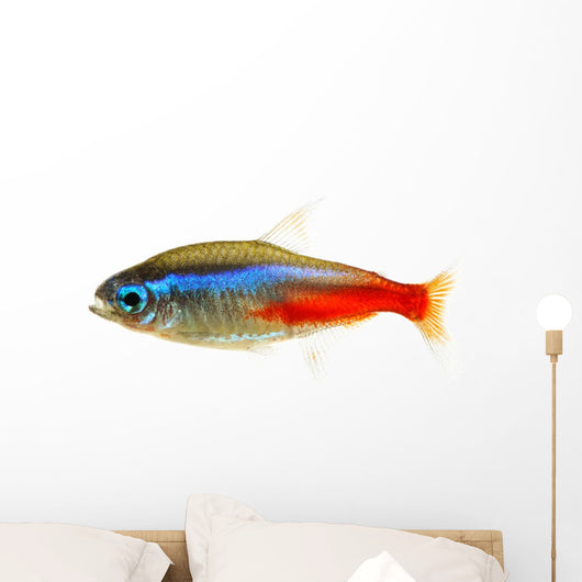 Neon Tetra Fish White Wall Decal