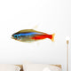 Neon Tetra Fish White Wall Decal