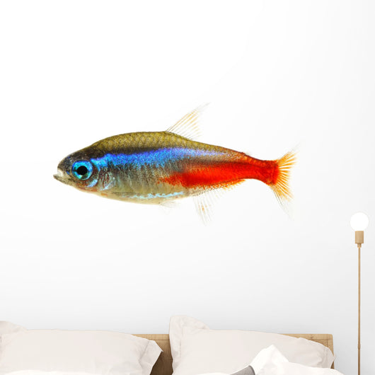 Neon Tetra Fish White Wall Decal