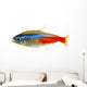 Neon Tetra Fish White Wall Decal