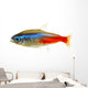Neon Tetra Fish White Wall Decal