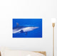 Shark Wall Mural