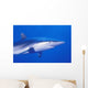 Shark Wall Mural