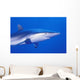 Shark Wall Mural
