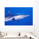 Shark Wall Mural