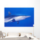 Shark Wall Mural