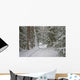 winter forest Wall Mural