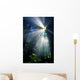 Sunlight Filtering Through Dense Forest Foliage Wall Mural