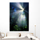Sunlight Filtering Through Dense Forest Foliage Wall Mural