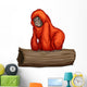 Orangutans Wall Decal