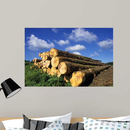 Logs Cuts Wall Decal