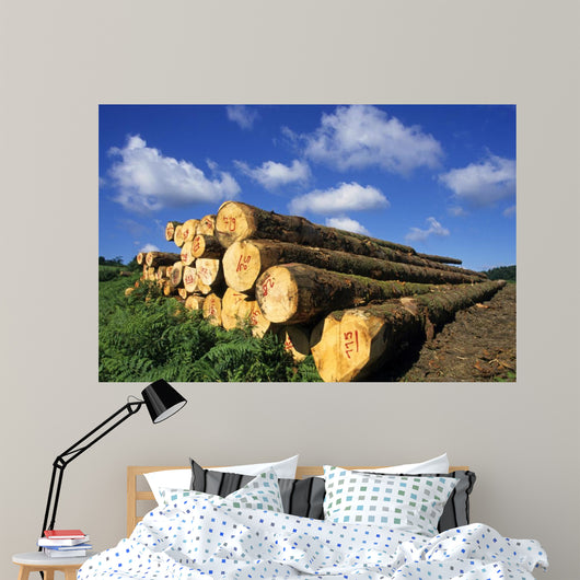 Logs Cuts Wall Decal