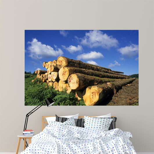 Logs Cuts Wall Decal