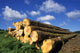 Logs Cuts Wall Decal