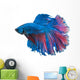 Beautiful Betta Splendens White 2 Wall Decal