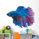 Beautiful Betta Splendens White 2 Wall Decal