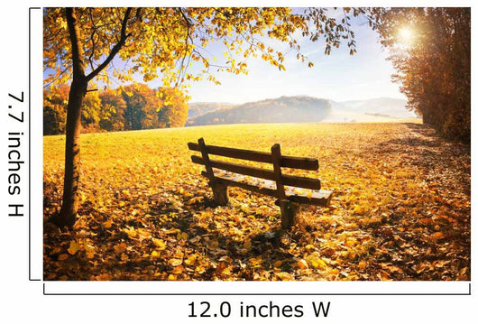 Herbstlandschaft Mit Sonnenschein Wall Decal