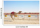 Robot Camel Racing Wall Mural