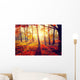 Autumn. Fall. Autumnal trees in sun rays Wall Mural