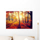 Autumn. Fall. Autumnal trees in sun rays Wall Mural