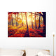 Autumn. Fall. Autumnal trees in sun rays Wall Mural