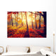 Autumn. Fall. Autumnal trees in sun rays Wall Mural