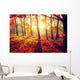 Autumn. Fall. Autumnal trees in sun rays Wall Mural