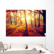 Autumn. Fall. Autumnal trees in sun rays Wall Mural