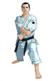 Karate Wall Decal 3
