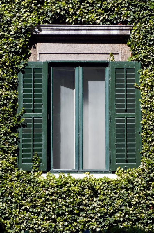 Window 2 Wall Decal