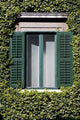 Window 2 Wall Decal
