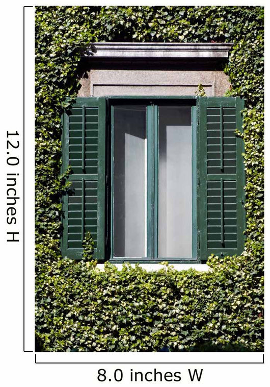 Window 2 Wall Decal