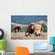 Hereford Bull Wall Mural